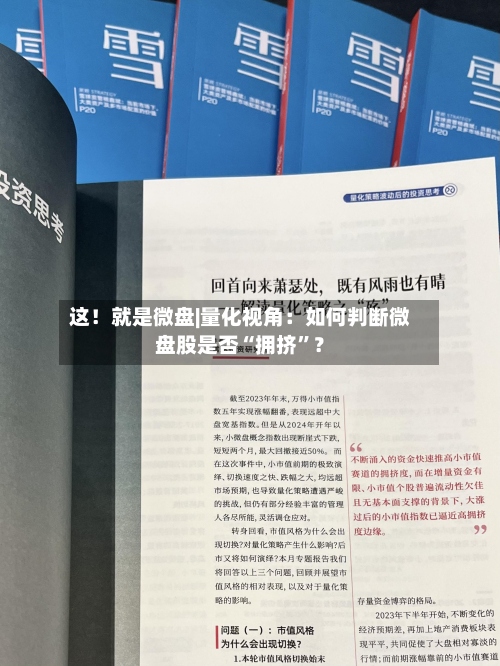 这！就是微盘|量化视角：如何判断微盘股是否“拥挤”？-第3张图片