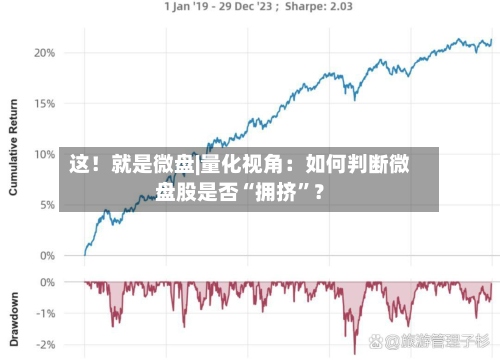 这！就是微盘|量化视角：如何判断微盘股是否“拥挤”？-第2张图片