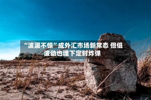 “波澜不惊	”成外汇市场新常态 但低波动也埋下定时炸弹-第3张图片