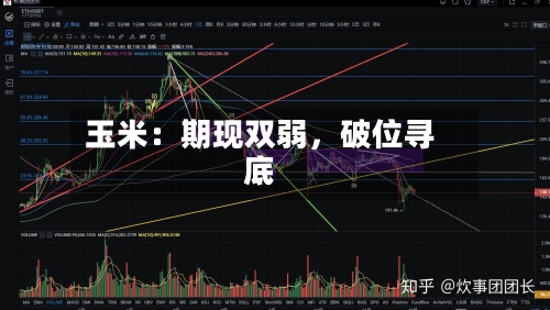 玉米：期现双弱，破位寻底-第3张图片