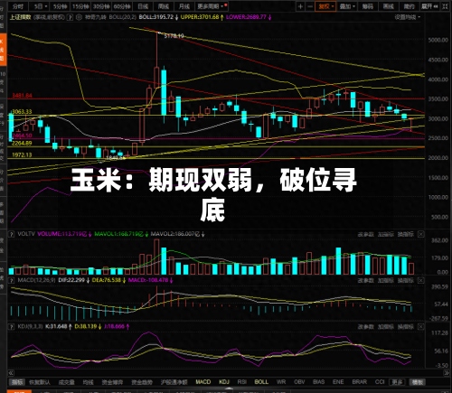 玉米：期现双弱	，破位寻底-第2张图片