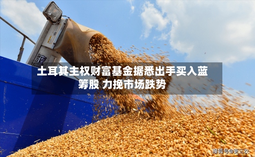 土耳其主权财富基金据悉出手买入蓝筹股 力挽市场跌势