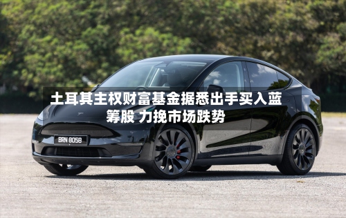 土耳其主权财富基金据悉出手买入蓝筹股 力挽市场跌势-第2张图片