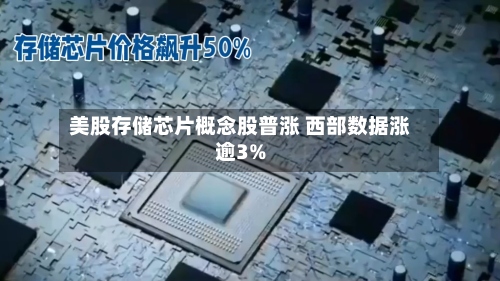 美股存储芯片概念股普涨 西部数据涨逾3%
