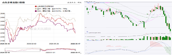 玉米：期现双弱，破位寻底